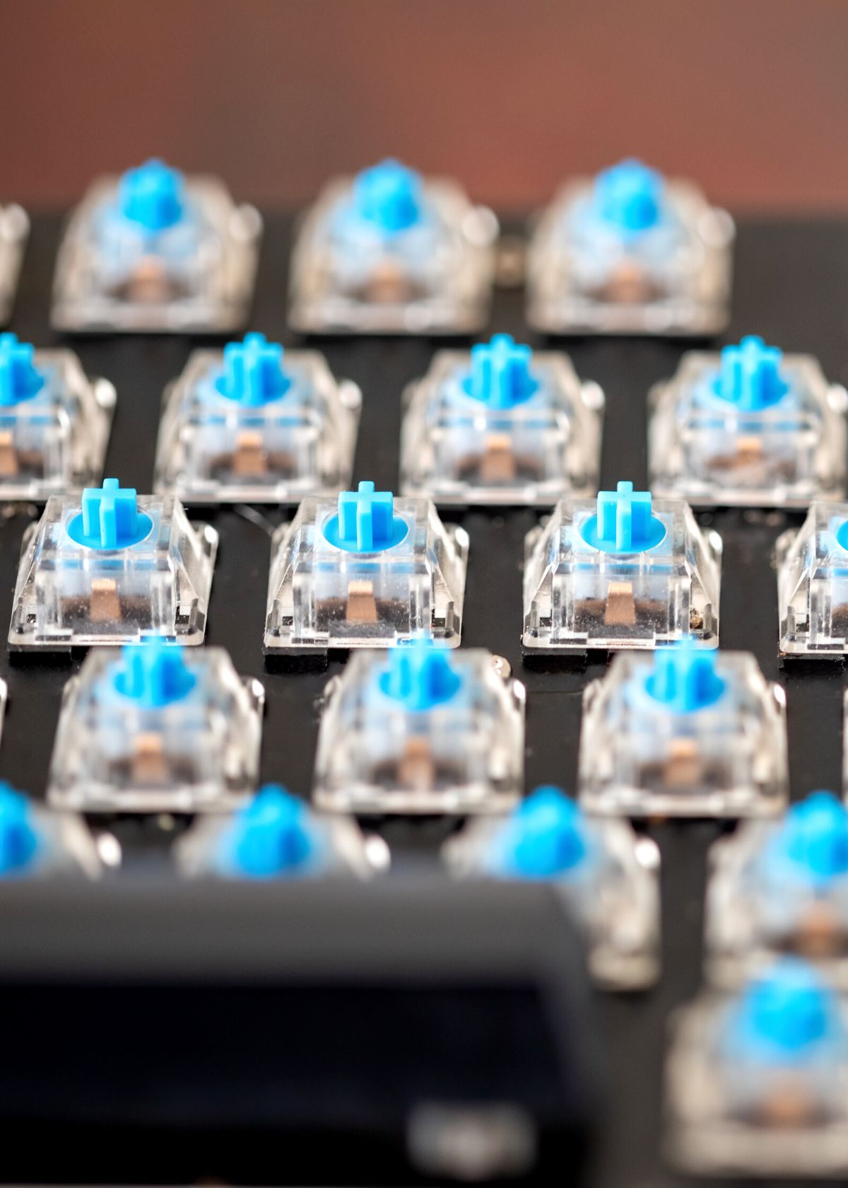 Don't Make a Mistake! How to Choose the Right Mechanical Keyboard Switch